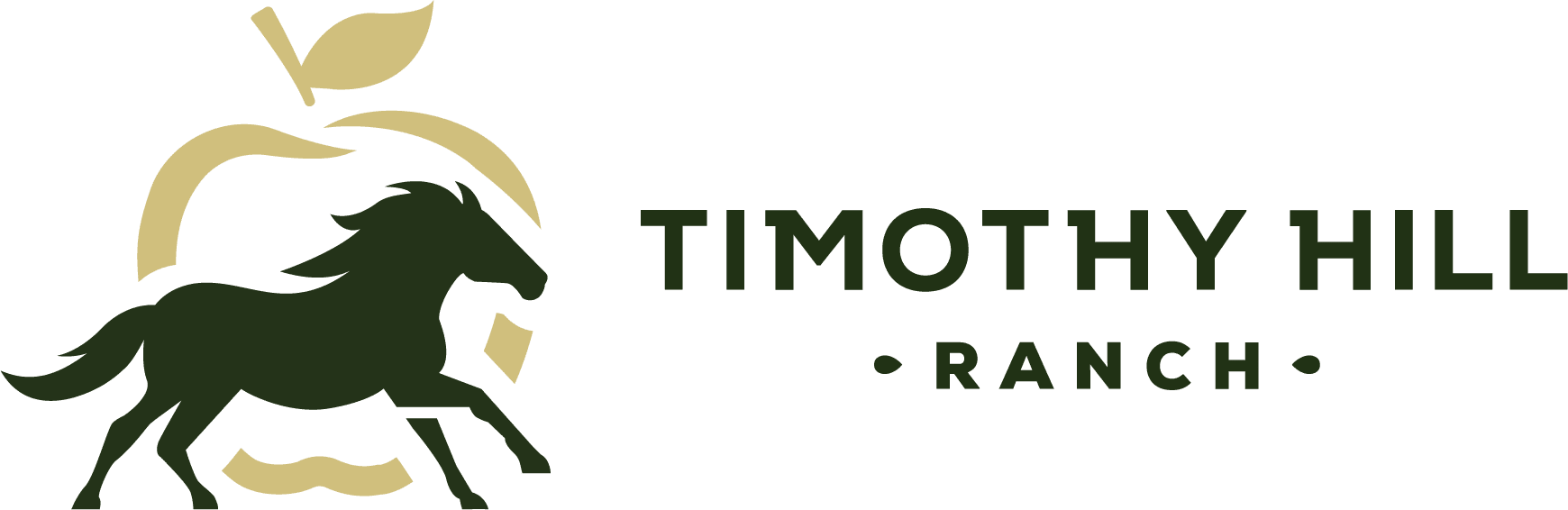 legacy-in-a-new-logo-timothy-hill-ranch